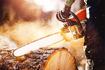 Home Page-STIHL Migration to HCL Workload Automation