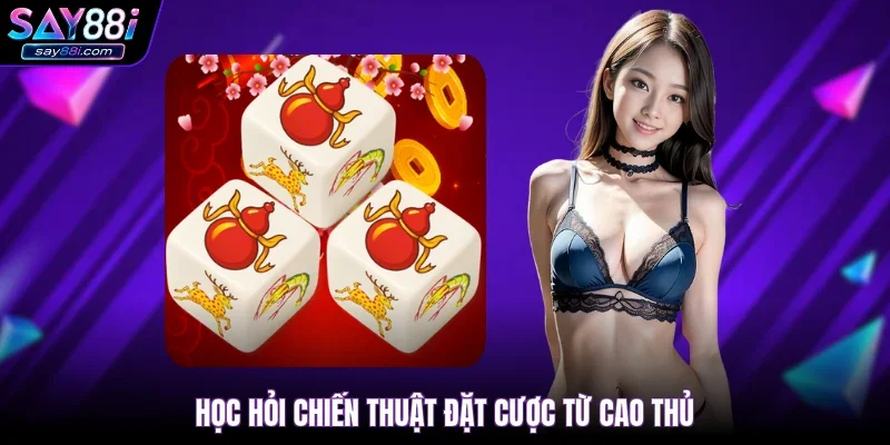 Học hỏi chiến thuật đặt cược từ cao thủ